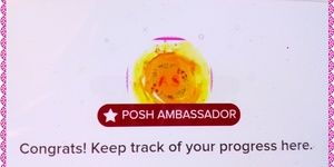 ❤❤❤ Woohooo I'm a Posh Ambassador Now ❤❤❤